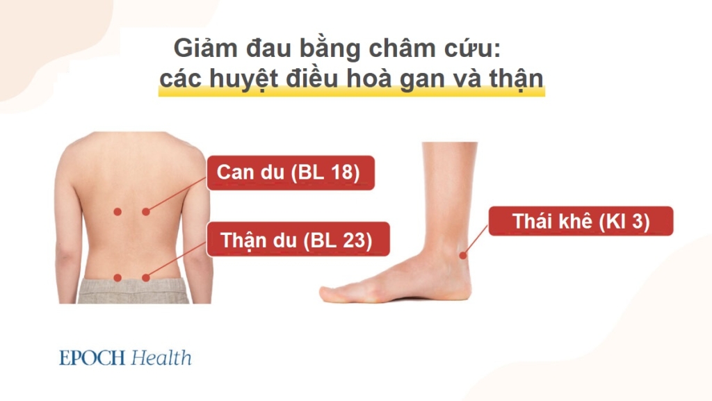 Điều trị thoái hóa khớp bằng liệu pháp cổ truyền không đau, không cần phẫu thuật