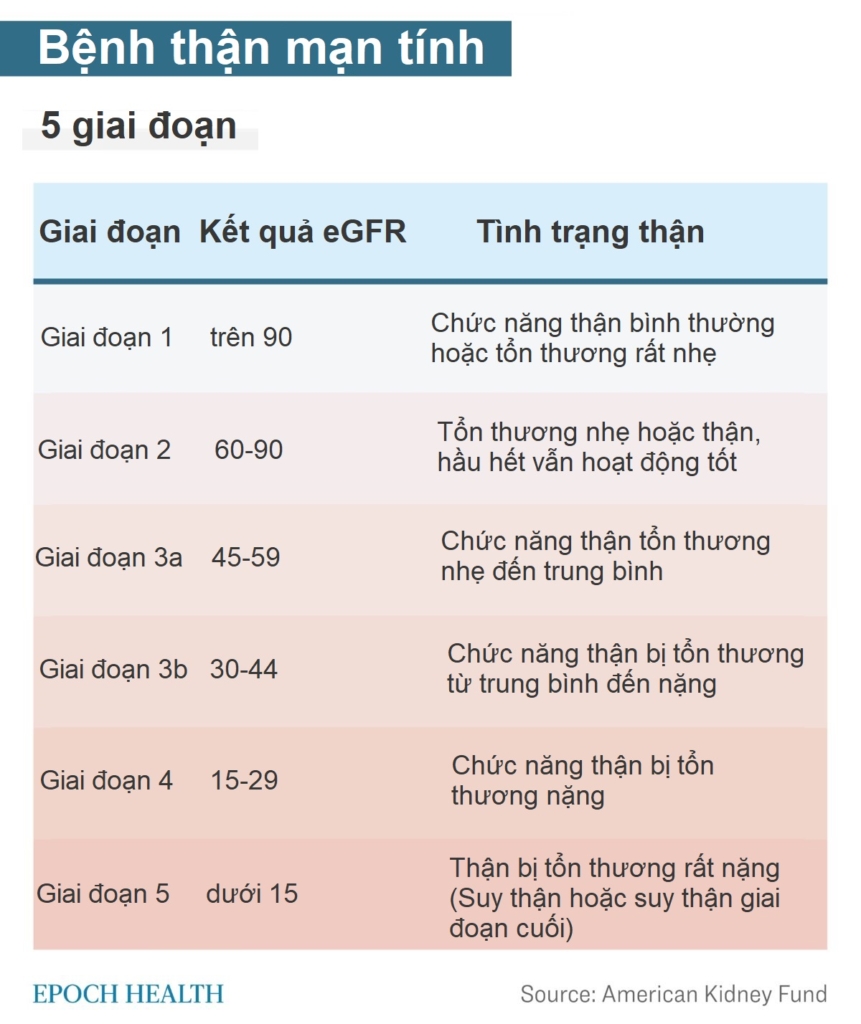 Bệnh thận mạn tính: Triệu chứng, nguyên nhân, phương pháp điều trị và liệu pháp tự nhiên