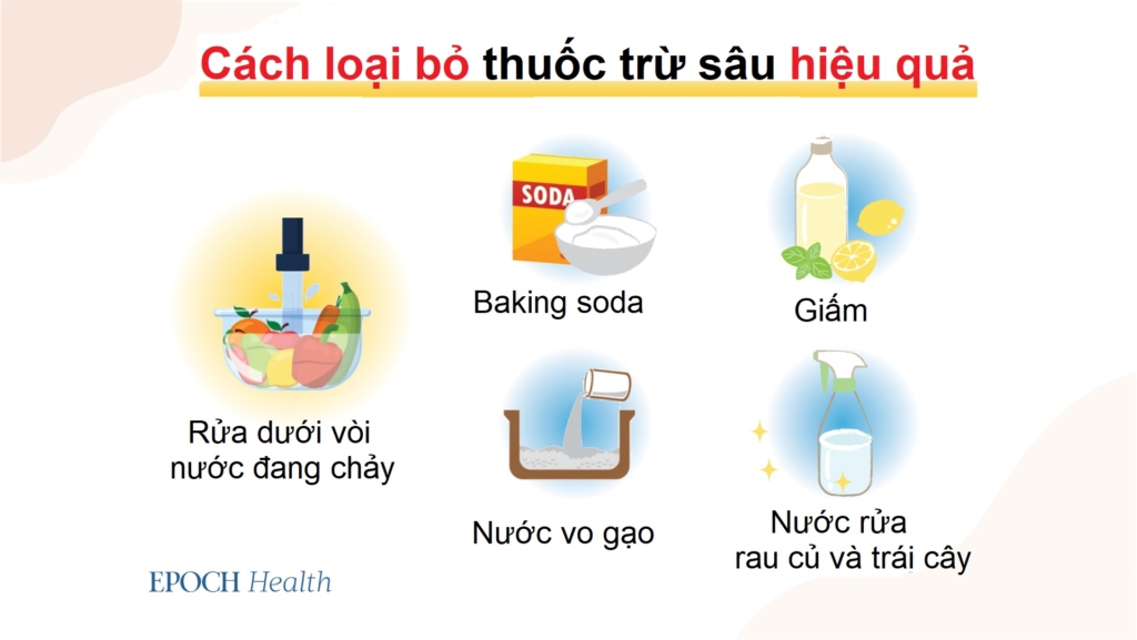 Bác sĩ chuyên khoa ngộ độc chỉ bạn cách rửa trái cây và rau củ