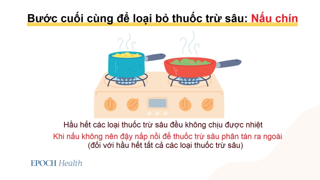 Bác sĩ chuyên khoa ngộ độc chỉ bạn cách rửa trái cây và rau củ