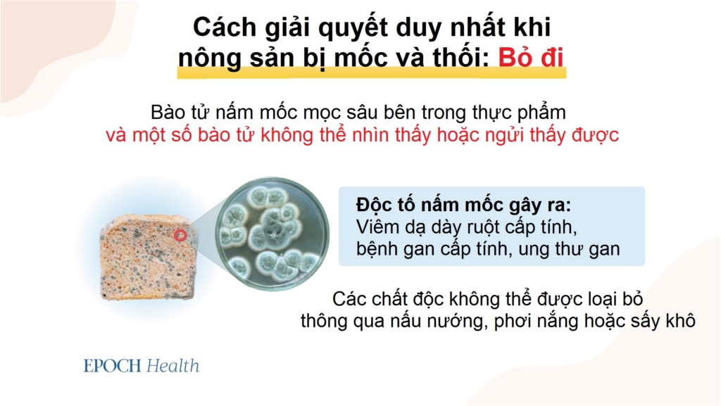 Bác sĩ chuyên khoa ngộ độc chỉ bạn cách rửa trái cây và rau củ