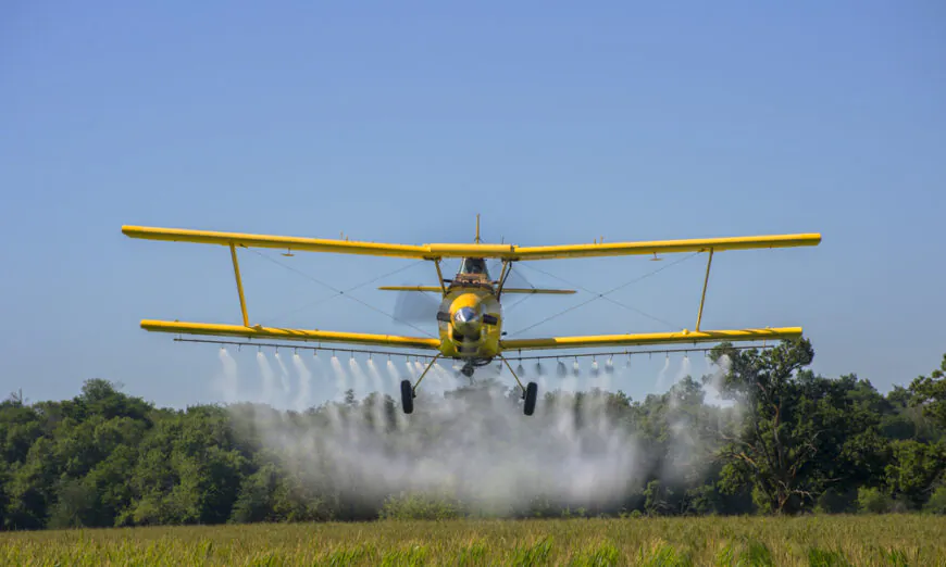 Thuốc diệt cỏ atrazine thông thường gây ra quá trình mất nam tính và nữ tính hóa ở ếch, làm dấy lên những lo ngại ở người. (Ảnh: ShutterStock)