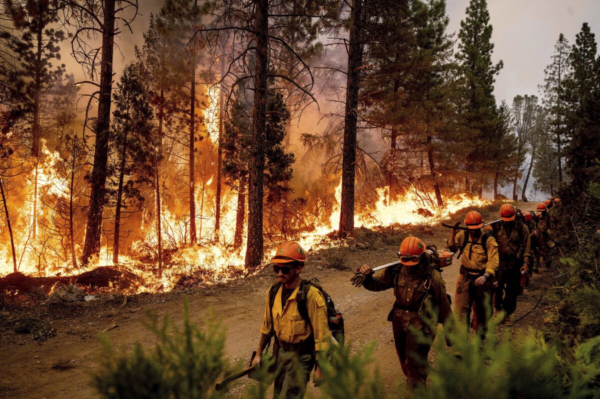 Nhân viên cứu hỏa đi qua đám cháy đốt chặn (backfire) — những nhân viên lính cứu hỏa tạo ra các đám cháy để đốt thảm thực vật — trong khi chiến đấu với Đám cháy Muỗi trong cộng đồng Volcanoville thuộc quận El Dorado, California, hôm 09/09/2022. (Ảnh: Noah Berger/AP Photo)
