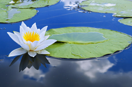 Câu chuyện Trung y: Ai cũng đều có nước mắt riêng cần lau