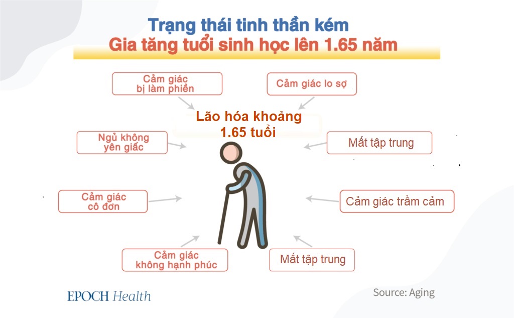 Nguyên nhân hàng đầu gây lão hóa nhanh