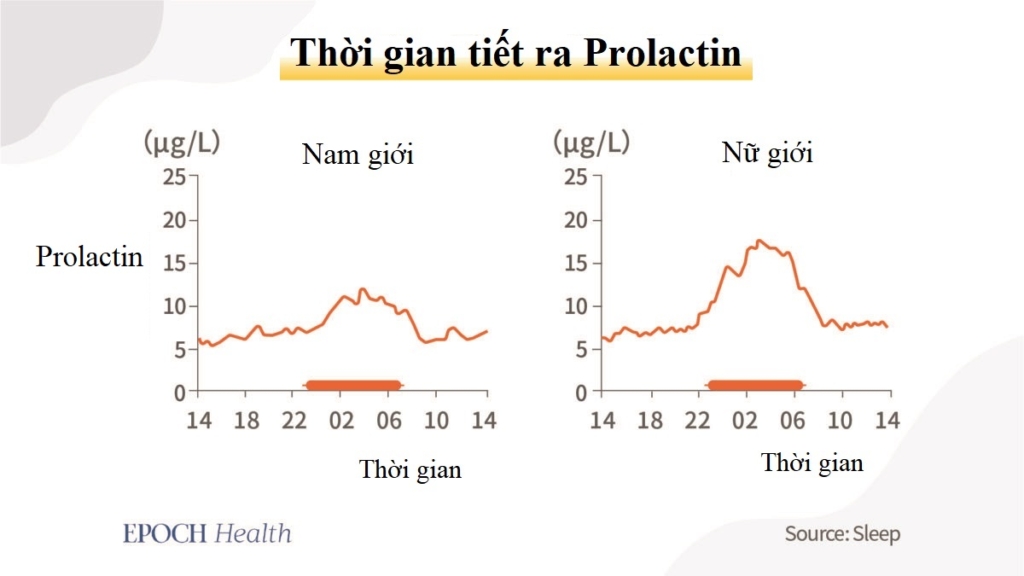 Hệ miễn dịch trở nên mạnh mẽ hơn trong khi chúng ta ngủ như thế nào?