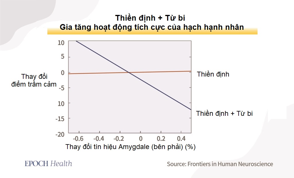 60-80% bệnh tật có liên quan đến kiểu tính cách 