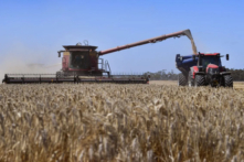 Một bức ảnh được chụp cho thấy một cánh đồng lúa mì đang được thu hoạch tại một trang trại gần Inverleigh, Úc Châu, vào ngày 12/01/2021. (Ảnh: William West/AFP qua Getty Images)