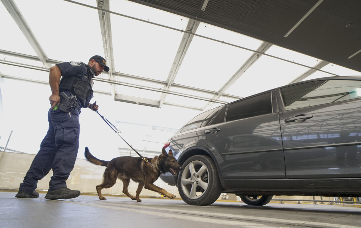 Một nhân viên của Cơ quan Thực thi Di trú và Hải quan (ICE) kiểm tra xe hơi để tìm hàng lậu thuế ở San Ysidro, California, vào ngày 02/10/2019. (Ảnh: Sandy Huffaker/AFP qua Getty Images)