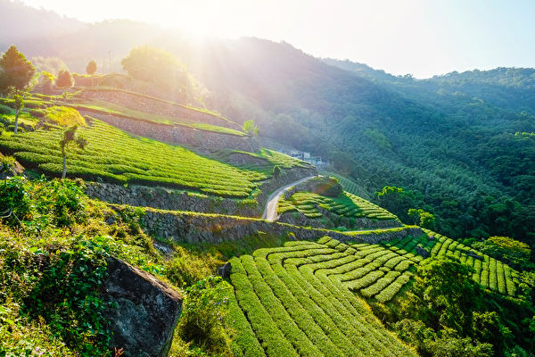 Một bản nhạc khiến tâm hồn bay bổng, để con người và sơn thủy mãi tương thông