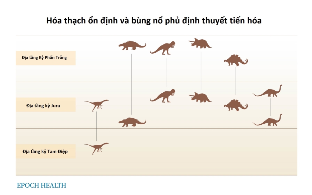 Nhìn thấu ‘Thuyết tiến hóa’ (Chương 2): Phá bỏ suy nghĩ sai lầm kinh điển trong thuyết tiến hóa (P.1)