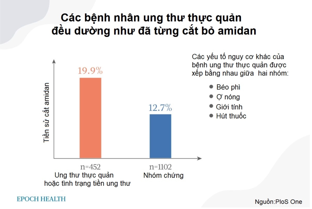 Cắt amidan có thể làm tăng nguy cơ bị một số bệnh ung thư