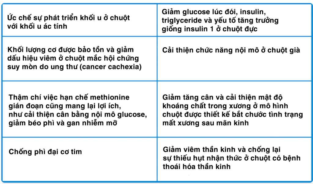 Glycine giúp tăng tuổi thọ và giảm trầm cảm