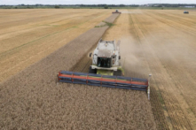 Máy gặt thu hoạch lúa mì ở làng Zghurivka, Ukraine, hôm 09/08/2022. (Ảnh: Efrem Lukatsky/AP Photo)