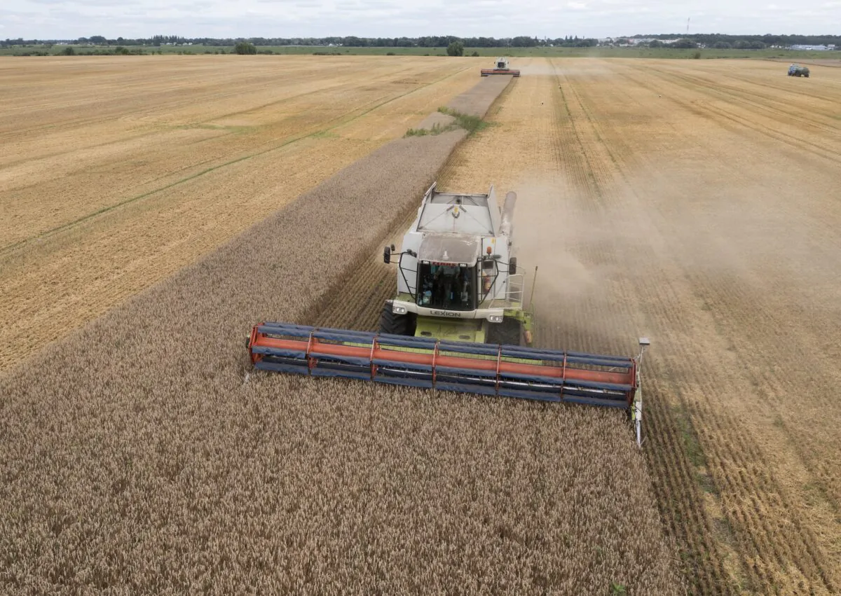 Máy gặt thu hoạch lúa mì ở làng Zghurivka, Ukraine, hôm 09/08/2022. (Ảnh: Efrem Lukatsky/AP Photo)