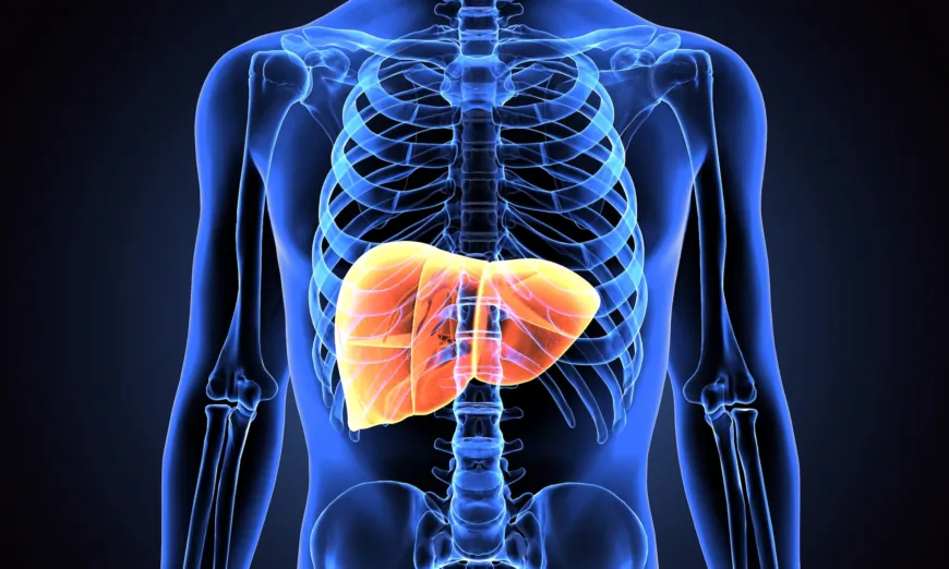 Tiết lộ sức khỏe lá gan: Những biểu hiệu bệnh gan trên hai bộ phận của cơ thể và cách dưỡng gan