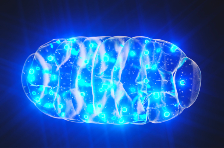 Giáo sư Harvard: Nguyên nhân gốc rễ của bệnh tâm thần