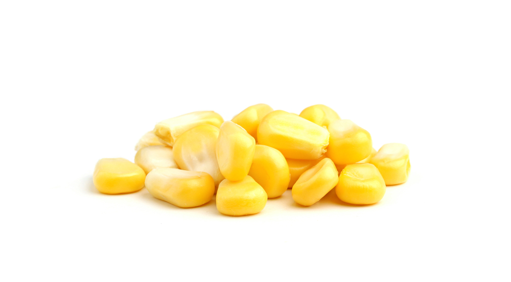 Những hạt bắp đúng mùa giòn rụm và mọng nước với vị ngọt thanh như sữa. (Ảnh: osoznanie.jizni/Shutterstock)