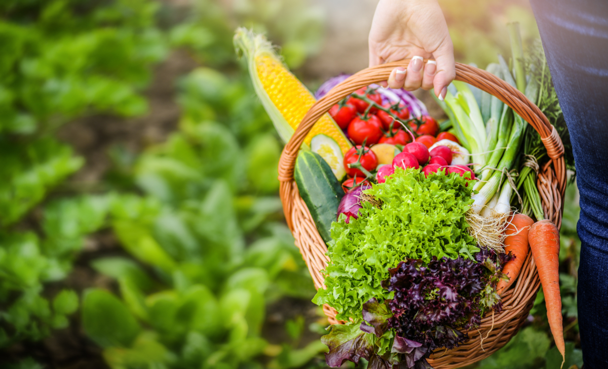 Mùa hè có nhiều loại rau củ quả sặc sỡ để tạo ra những bữa ăn đẹp mắt, bổ dưỡng. (Ảnh: Krasula/Shutterstock)