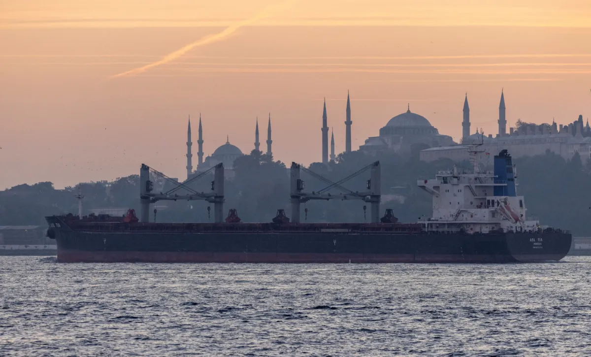 Asl Tia, một tàu chở ngũ cốc của Ukraine, đi qua eo biển Bosphorus, ở Istanbul hôm 02/11/2022. (Ảnh: Umit Bektas/Reuters)