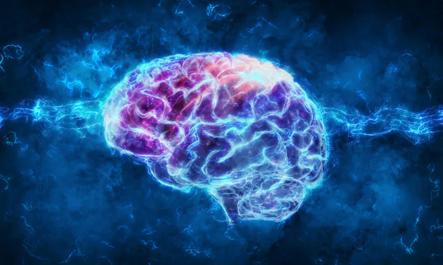Tái tạo bộ não là có thật: 5 phương thức giúp tái tạo não