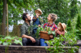 Người làm vườn có nguy cơ bị bệnh kinh niên và bệnh tâm thần thấp hơn (Ảnh: Ground Picture/Shutterstock)