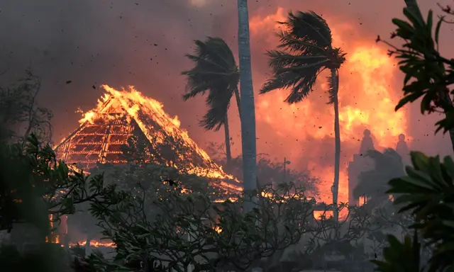 Số người thiệt mạng trong các vụ cháy rừng ở Hawaii tăng lên 55