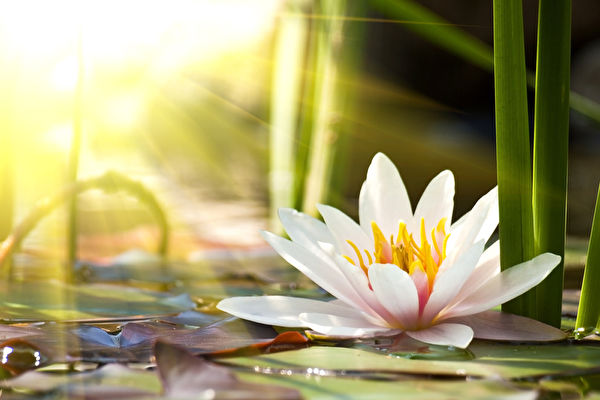 “Ông Trời có mắt” quan sát thế gian, mọi chuyện trên đời được sắp đặt một cách khéo léo. (Ảnh: Fotolia)