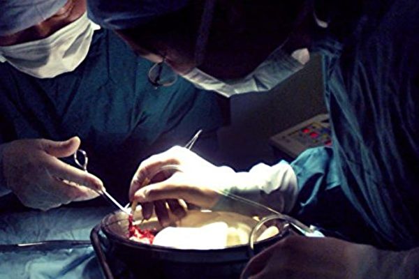 Bác sĩ Bệnh viện Phổi Thượng Hải tiết lộ ‘3 ca ghép phổi một ngày’, dấy lên nghi vấn về thu hoạch nội tạng sống