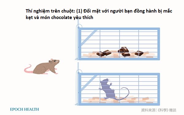 Nhìn thấu ‘Thuyết tiến hóa’ (Chương 2): Phá bỏ suy nghĩ sai lầm kinh điển trong thuyết tiến hóa (P.3)