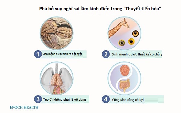 Nhìn thấu ‘Thuyết tiến hóa’ (Chương 2): Phá bỏ suy nghĩ sai lầm kinh điển trong thuyết tiến hóa (P.3)