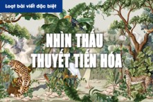 Nhìn thấu ‘Thuyết tiến hóa’ (Chương 2): Phá bỏ suy nghĩ sai lầm kinh điển trong thuyết tiến hóa (P.2)