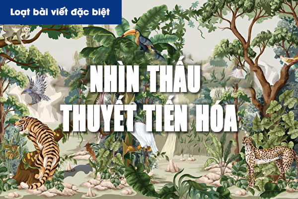 Nhìn thấu ‘Thuyết tiến hóa’ (Chương 2): Phá bỏ suy nghĩ sai lầm kinh điển trong thuyết tiến hóa (P.2)