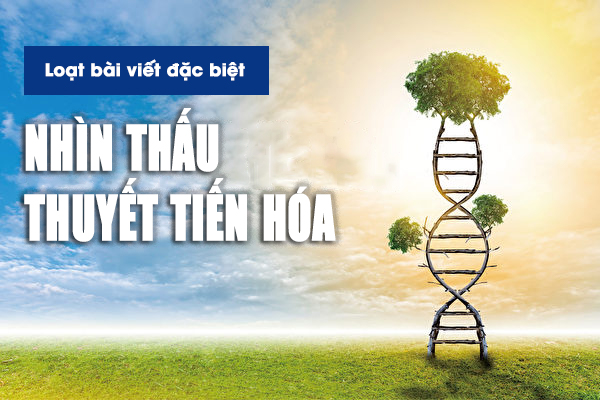 Nhìn thấu ‘Thuyết tiến hóa’ (Chương 3): Sinh học phân tử phủ định giả thuyết tiến hóa  (P.1)