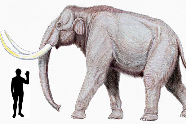 Phát hiện ngà voi ma mút 450,000 năm tuổi ở Anh quốc