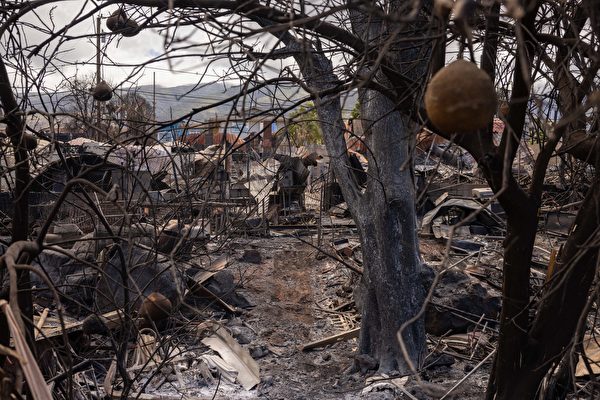 Hôm 16/08/2023, sau khi một trận cháy rừng hoành hành ở Lahaina (Quận Maui), Hawaii, Hoa Kỳ, nhiều tòa nhà đã trở thành đống đổ nát. (Ảnh: Patrick T. Fallon/AFP)