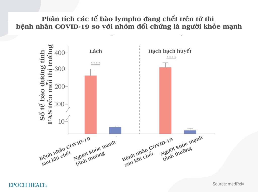 Lá lách kỳ diệu hoạt động không mệt mỏi, làm sạch máu  và chống virus tấn công cơ thể