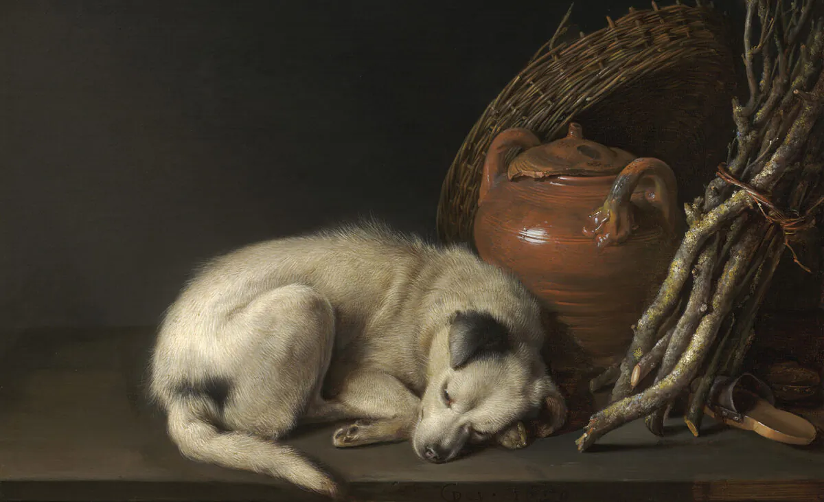 Chi tiết từ bức tranh “Dog at Rest” (Chú chó nghỉ ngơi) của họa sĩ Gerrit Dou, vẽ năm 1650. Bảo tàng Mỹ thuật, Boston. (Ảnh: Tài liệu công cộng)
