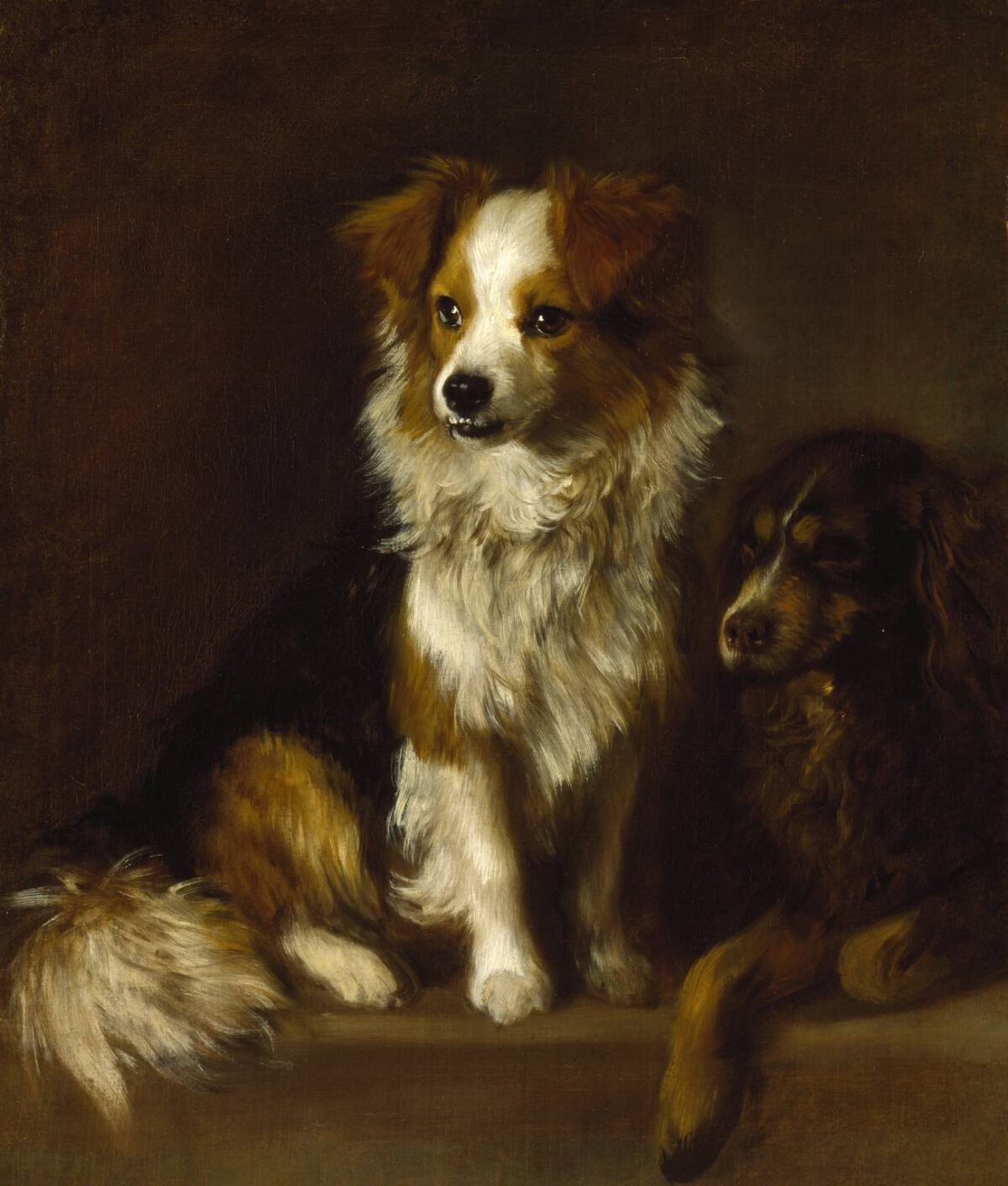 Sức mạnh của loài chó: Thế kỷ của những chú chó trong nghệ thuật