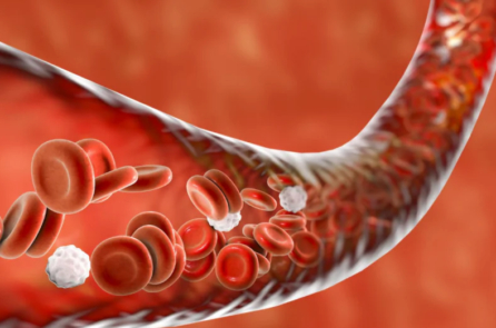 Ba thói quen ăn uống giúp điều trị thiếu máu và dưỡng huyết