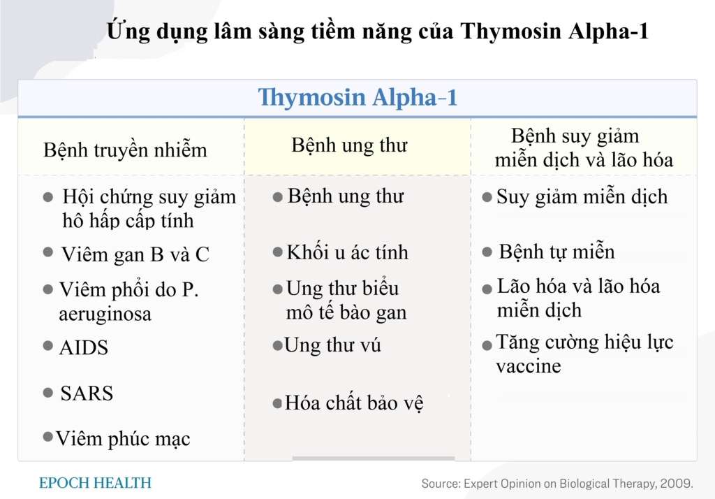 Dù teo nhỏ nhưng không vô dụng: Tuyến ức vẫn cần thiết cho sức khỏe lâu dài