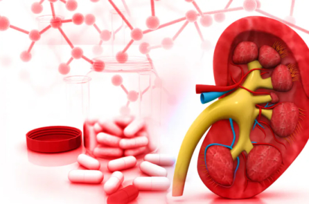 Thuốc kháng sinh liên quan đến tăng nguy cơ sỏi thận