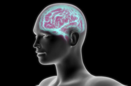 Ô nhiễm không khí liên quan đến sa sút trí tuệ, cháy rừng là yếu tố nguy cơ cao đứng hàng thứ hai