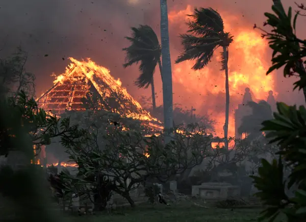 Cháy rừng ở Hawaii: Số người tử vong tăng lên 80, một đám cháy mới khiến người dân phải di tản