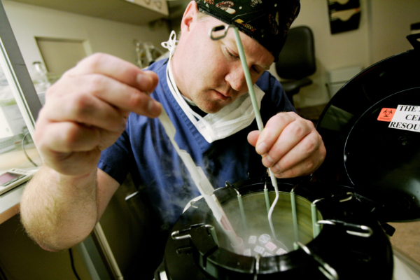 Nhà phôi học Ric Ross lấy các lọ chứa phôi người từ một thùng chứa Nitơ lỏng tại Phòng khám IVF La Jolla vào ngày 28/02/2007 tại La Jolla, California. (Ảnh: Sandy Huffaker/Getty Images)