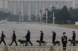 Đội cảnh sát của ĐCSTQ dắt cảnh khuyển đi rà soát an ninh tại Quảng trường Thiên An Môn ở Bắc Kinh, Trung Quốc, vào ngày 10/03/2022. (Ảnh: Kevin Frayer/Getty Images)