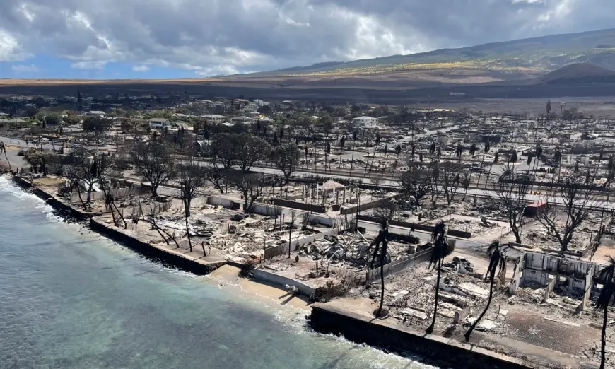 Các khu vực bị cháy ở Lahaina trên đảo Maui, Hawaii, hôm 11/08/2023, sau một trận cháy rừng. (Ảnh: Sở Tài nguyên và Đất đai Hawaii qua AP)