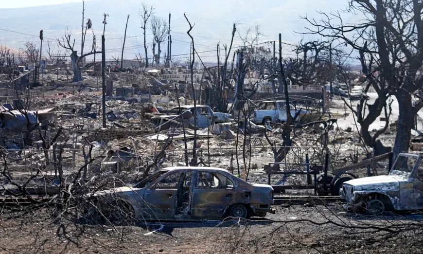 Thống đốc Hawaii: Số người thiệt mạng trong vụ cháy rừng ở Maui có thể tăng gấp đôi hoặc gấp ba