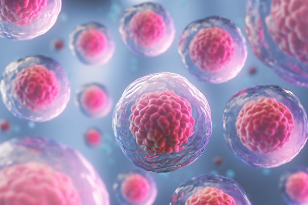 Sự nổi loạn tế bào: Một mô hình mới về ung thư