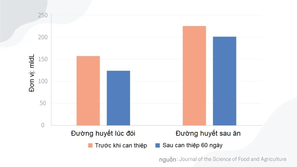 Cỏ ngọt: Chất làm ngọt phổ biến giúp giảm đường huyết, chống lại bệnh tiểu đường